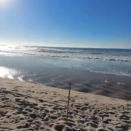 En Face De La 아파트