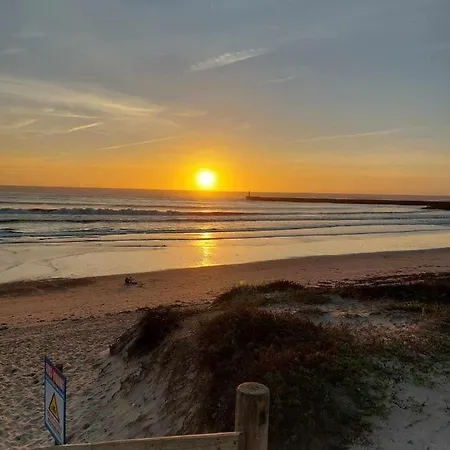 En Face De La 아파트