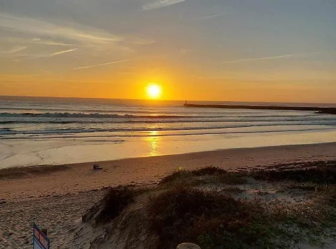 En Face De La 아파트